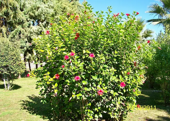Ξενοδοχείο Club Turkuaz Garden Adult Only