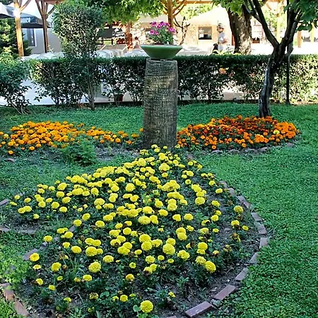 Club Turkuaz Garden Adult Only Hotel Fethiye