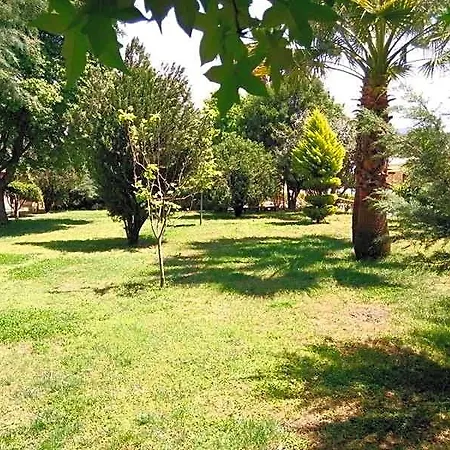 Hotel Club Turkuaz Garden Adult Only Fethiye
