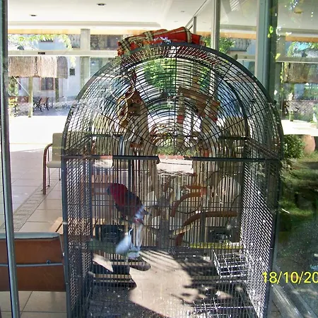 Club Turkuaz Garden Adult Only 3* فتحية