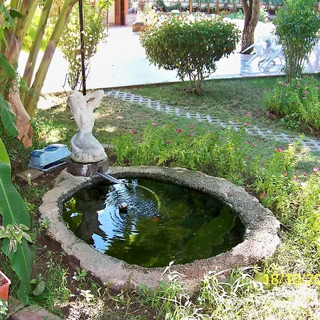 Club Turkuaz Garden Adult Only Hotel Fethiye