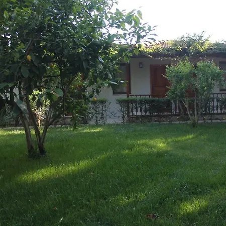 Club Turkuaz Garden Adult Only Hotell