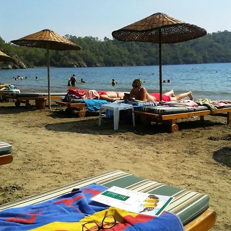 호텔 Club Turkuaz Garden Adult Only